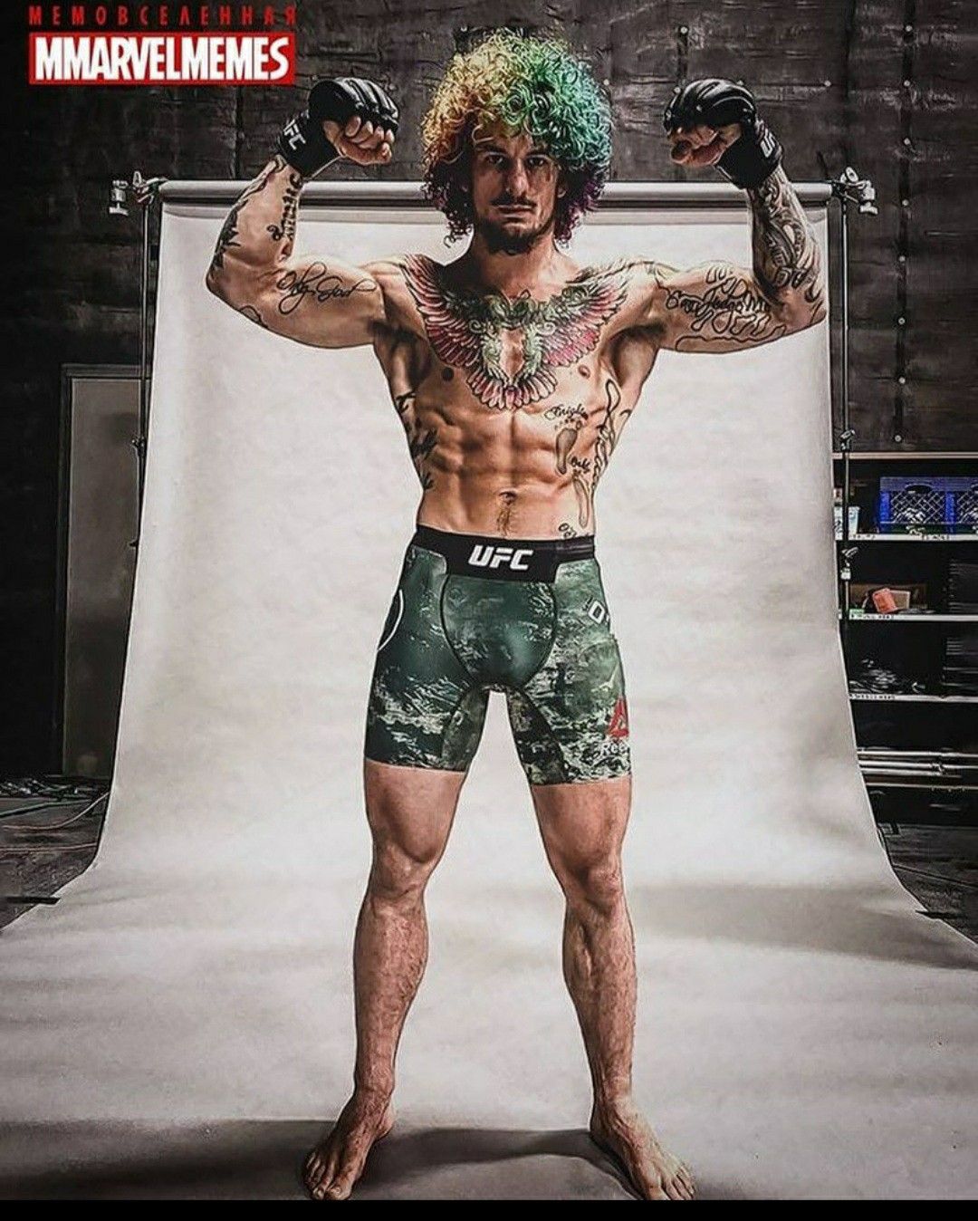 Sean O'Malley | Ufc boxing, Ufc fighters, Ufc - How Old Is Sean O’Malley? – The UFC Star’s Age and Rise to Fame