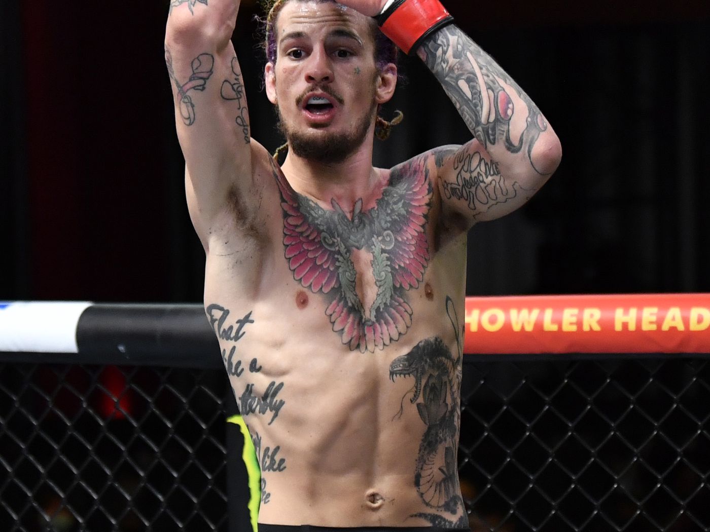Sean O'Malley Wallpapers - Wallpaper Cave - How Old Is Sean O’Malley? – The UFC Star’s Age and Rise to Fame