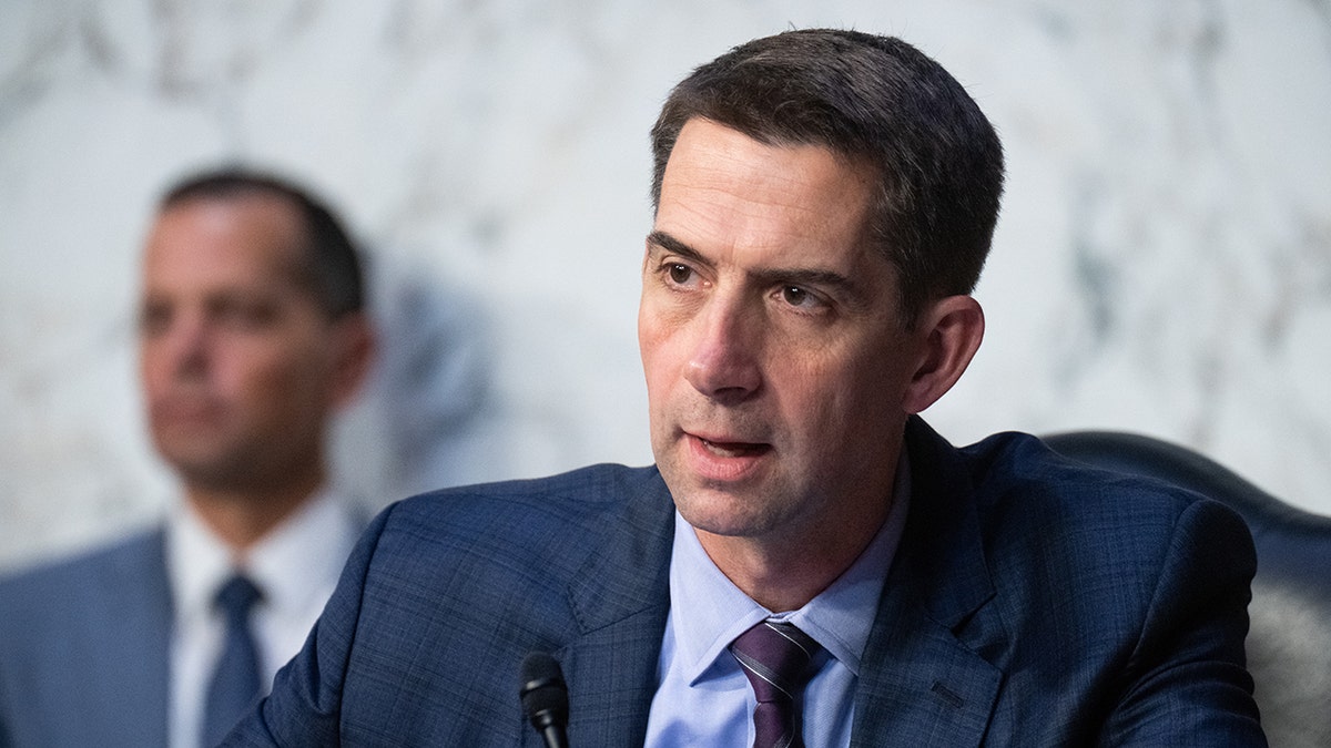 Sen. Cotton wants to crack down on cybersecurity threats to US - How Tall Is Senator Tom Cotton? Politician’s Height in the Spotlight