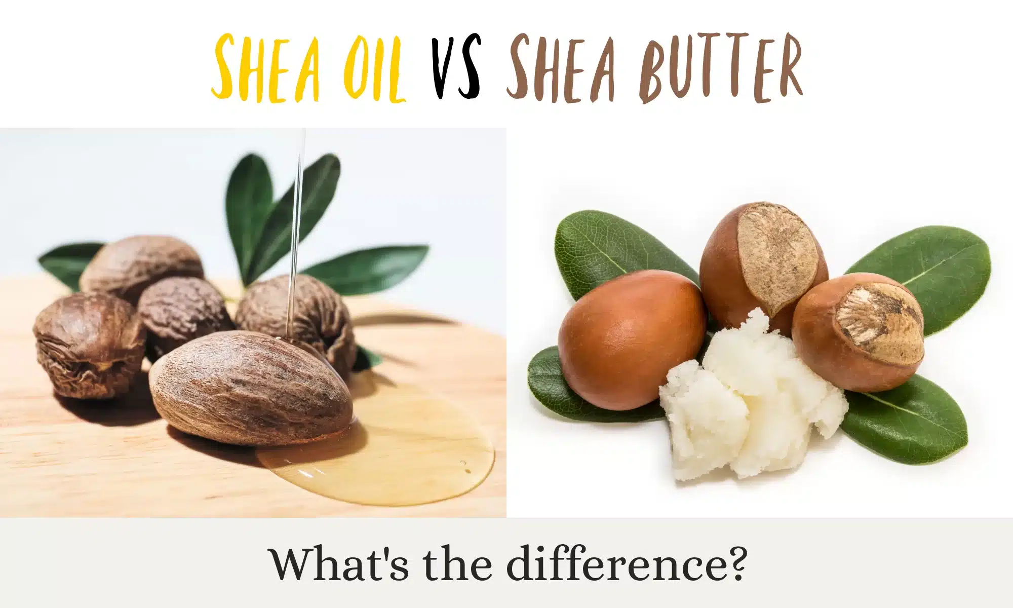 Shea Oil vs Shea Butter: Key Differences Explained - The Coconut Mama - Shea McGee Height – How Tall Is the Design Star of Dream Home Makeover?