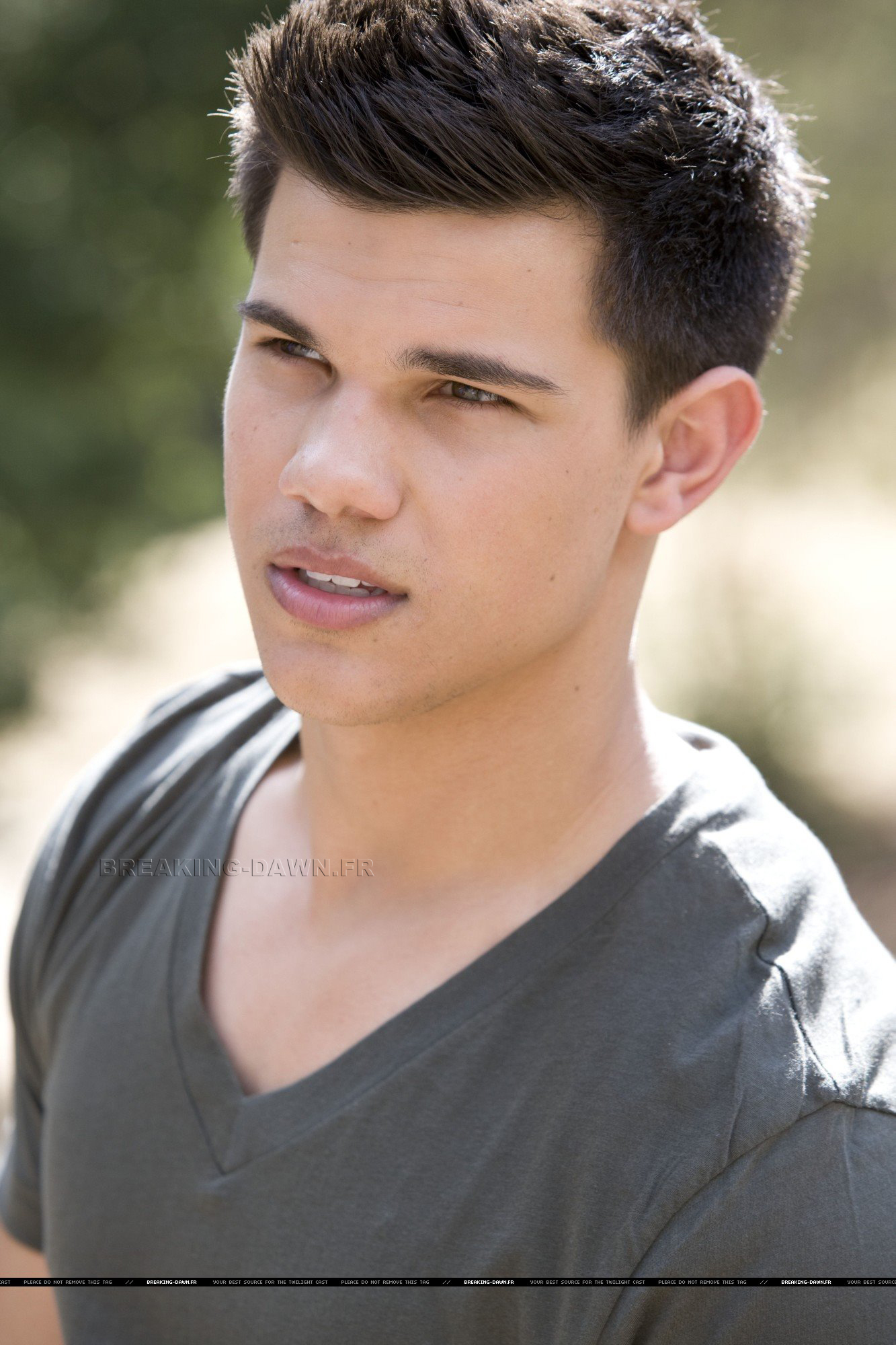 Taylor Lautner - Twilight Series Photo (8558423) - Fanpop - What Ethnicity Is Taylor Lautner? Twilight Star’s Heritage Explained