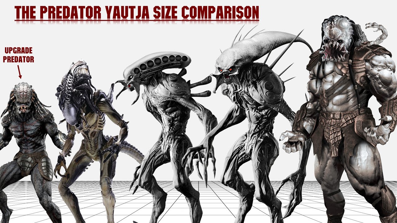The Predator Yautja Height Comparison (2022) - YouTube - Jeff Dye’s Height Revealed: How Tall Is The Comedian & TV Host?