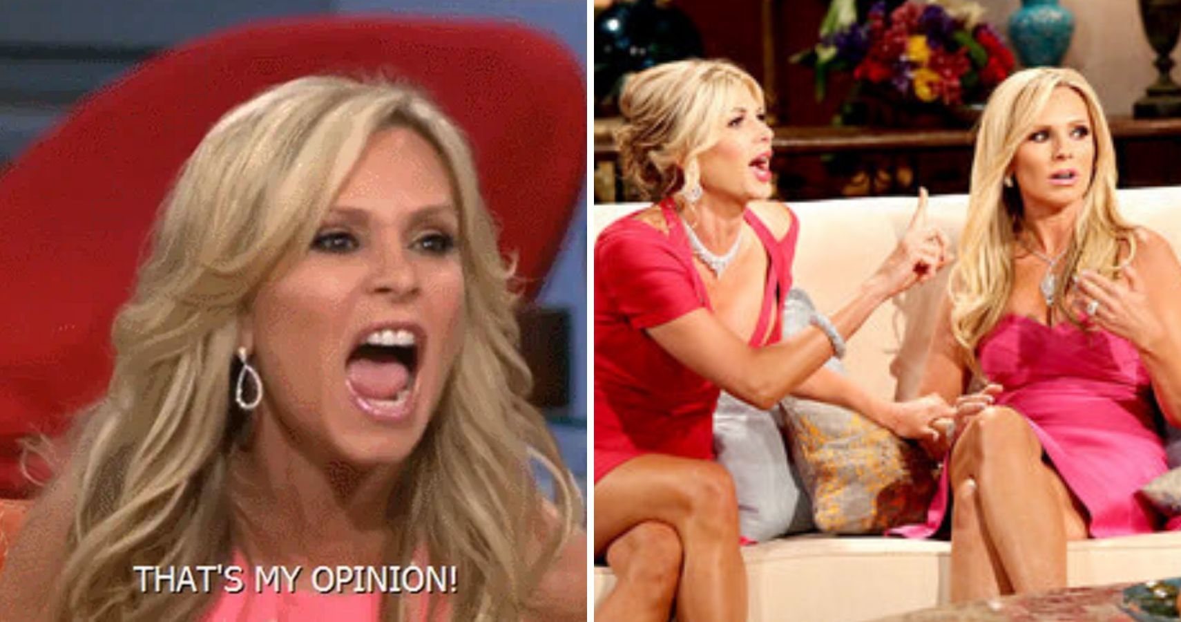 The Real Housewives Of Orange County: Tamra Judge's 10 Biggest Fights - Tamra Judge Net Worth: From Fitness To Orange County Fortune