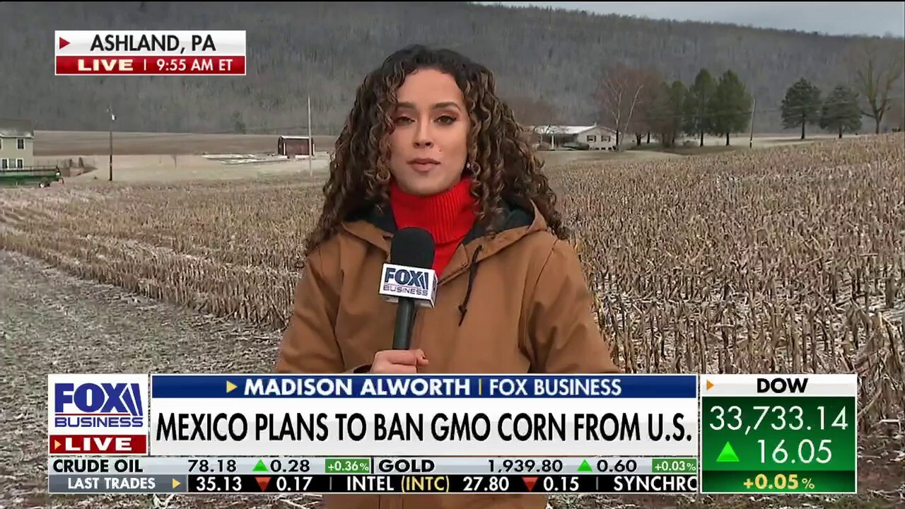This could be the single most devastating thing to happen to corn - Madison Alworth Husband: Inside The Life Of The Model’s Partner