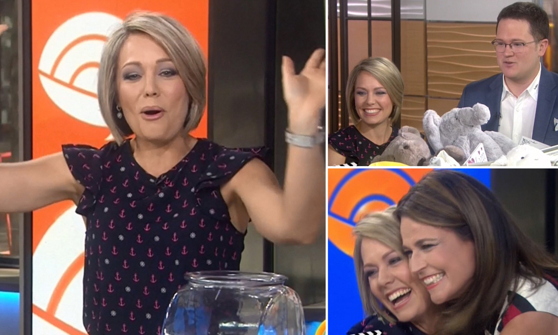 Today's Dylan Dreyer reveals she's pregnant just days after anchor - Is Dylan Dreyer Pregnant? Today Show Fans Wonder After New Clip
