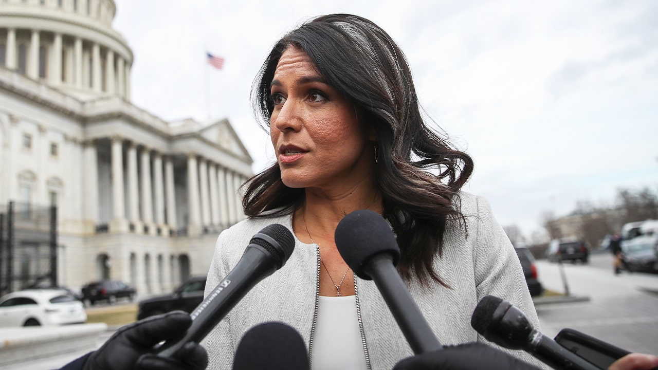 Tulsi Gabbard says Democratic leaders 'foment a culture of fear' to - Tulsi Gabbard’s Public Style – Political Poise and Fashion