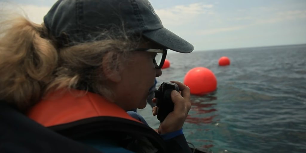 Wendy Rush: Where is Stockton Rush's Wife Today? - Stockton Rush’s Wife: The Supportive Partner of the OceanGate CEO