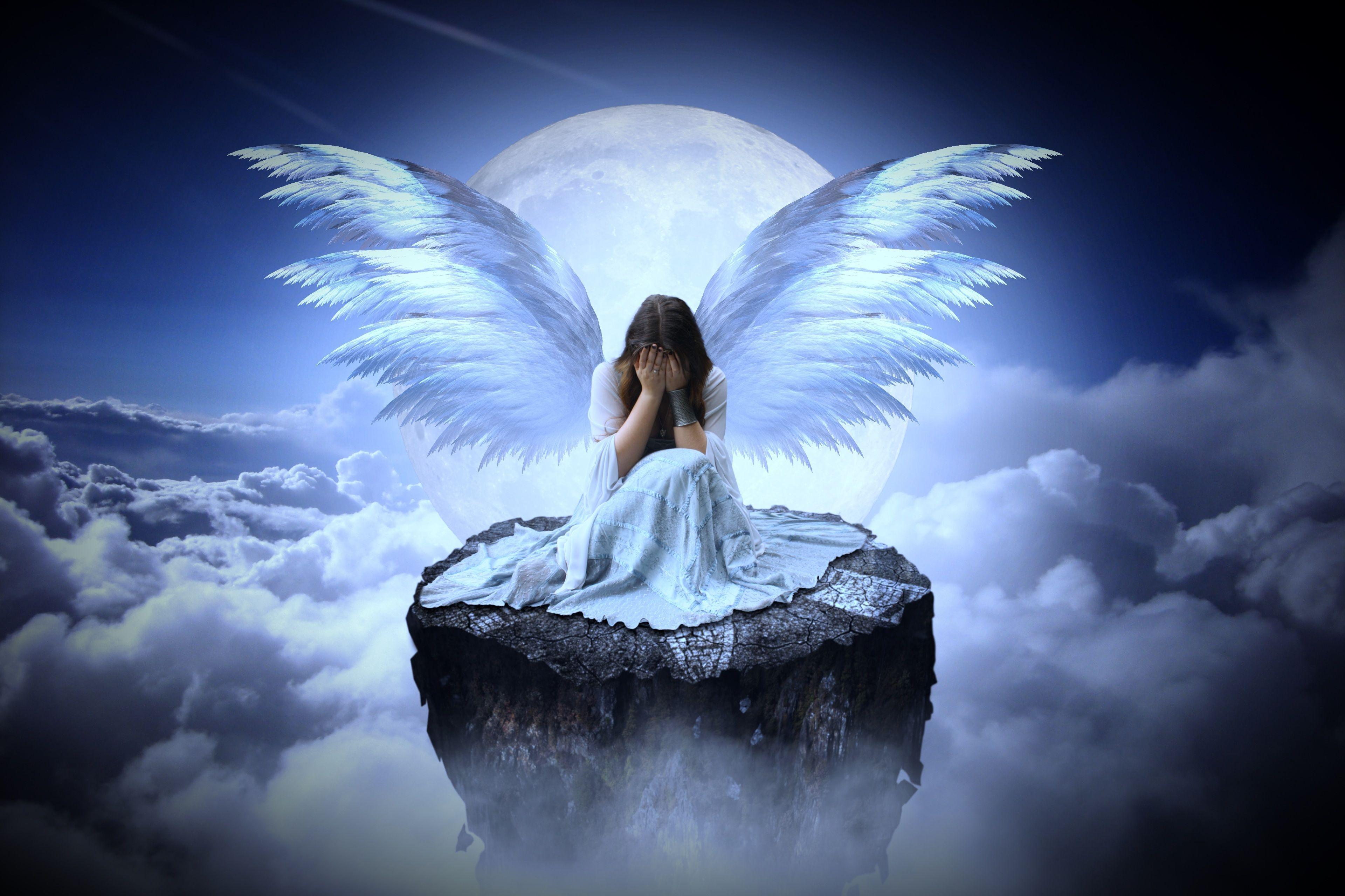 What Is Your Angel Number - Business Coral - How Tall Is Angel Reece: Comedian and Podcaster’s Charisma