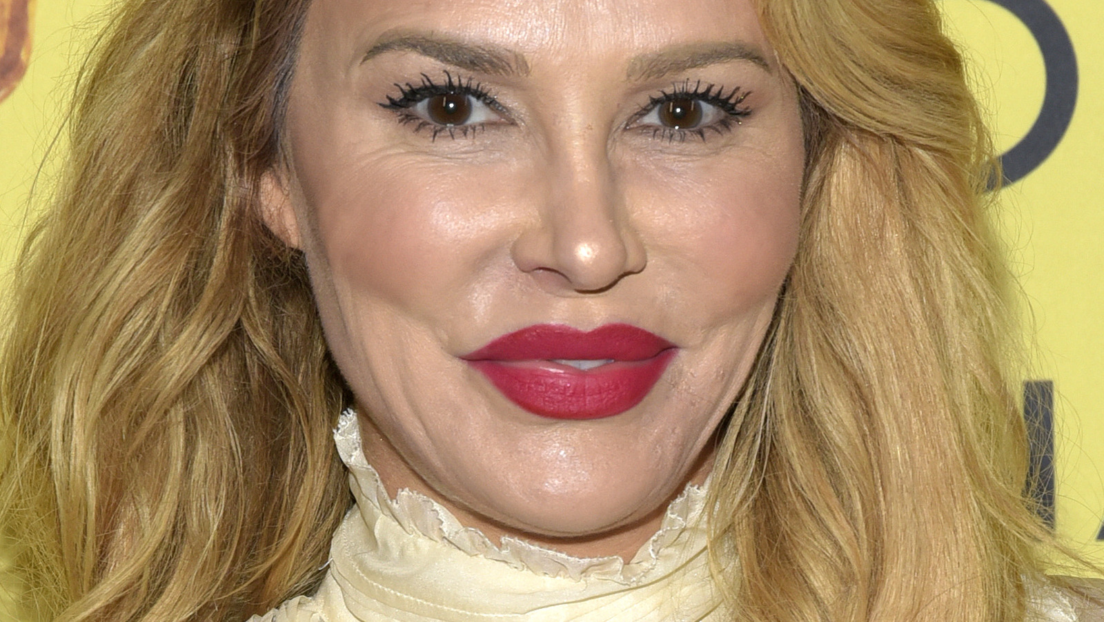 What We Know About Brandi Glanville's Time As A Model - Brandi Glanville Net Worth: From Housewife To Hot Headlines